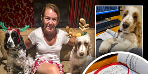 Melissa Caddick and her dogs,and (inset) Melissa Caddick’s dog Peter Pan seated at the fraudster’s desk in front of paperwork saying she was making a $46,000 per day profit.