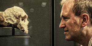 Chris Stringer with a Neanderthal skull at the Natural History Museum in London in 2012. 