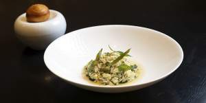 Delicate mud crab.