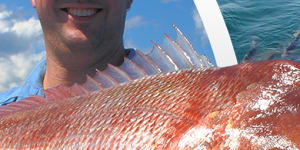 Proposed nine-month ban on snapper and dhufish enrages recreational fishers