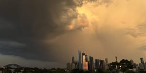 Sydney hit with heavy rain as wild weather continues