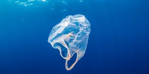 Consumer watchdog urged to step in on so-called ocean plastic