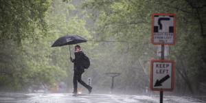 A wet spring has been forecast for parts of Victoria and NSW.