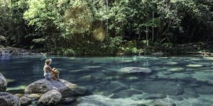 Swim with turtles or enjoy a waterside picnic at Mossman Gorge.