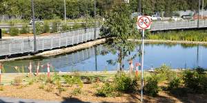 Rozelle Parklands was due to open on Tuesday,but blue-green algae have now been discovered in the wetlands within the park.