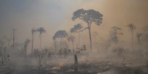 Fire consumes land recently deforested by cattle farmers near in Para state,Brazil. 