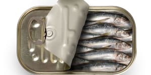 Tinned sardines,generic.