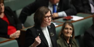 Labor MP Ged Kearney vows to change refugee policy and fight'racist dog whistling'