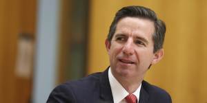 Finance Minister Simon Birmingham said leasing submarines ahead of purchase was possible.