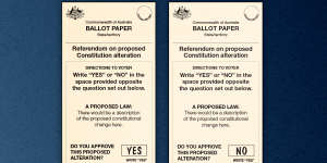 Sample ballot papers for Yes and No.