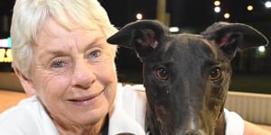 Homicide squad investigates after greyhound breeder found dead