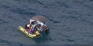 Boatie beats authorities to free whale trapped in Gold Coast nets