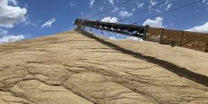 Bulk grain handler GrainCorp has already received 3.9 million tonnes of grain this harvest,about the same as for the entire drought-hit harvest last year.