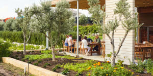 Coogee Commons in Perth,a new must-visit restaurant with a thriving kitchen garden.