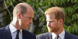 William and Harry need to cut it out,grow up and be brothers again