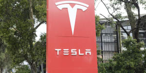 Ex-Tesla boss avoids prison over insider trading of lithium miner’s stock