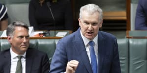 How Tony Burke was scratched from ‘Albo of Marrickville’ sketch