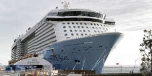 'Act of God':Royal Caribbean faces action over NZ dead