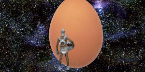 Man lays egg on stage. Is this art?