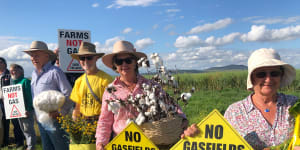 Protests have persisted for years over the Narrabri gas project.