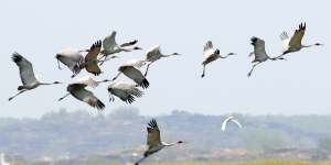 Bird life is abundant in Arnhem Land.