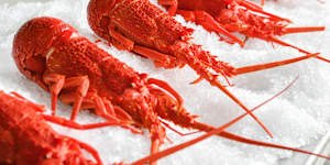 China lifted its import ban on Australian lobsters.
