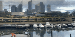 The view from Nicola West’s apartment on Finger Wharf,Woolloomooloo,in October 2022.