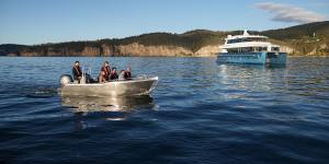 Odalisque III and one of her tenders.