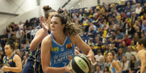 Capitals back Lauren Scherf to make her mark on WNBL after fast start