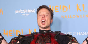 Elon Musk,in Halloween costume.
