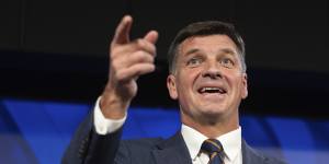Shadow treasurer and father of four Angus Taylor says his attitude towards children is a “revealed preference”.
