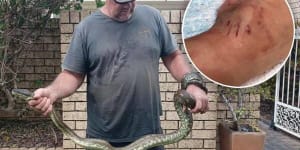 Boy,5,rescued from Byron Bay pool with python wrapped around his leg