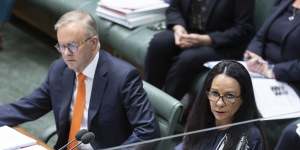 Prime Minister Anthony Albanese and Indigenous Australians Minister Linda Burney have faced criticism over a lack of detail on the Voice.