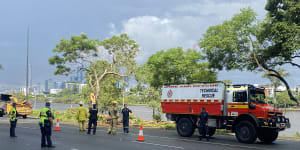 Woman rushed to hospital after tree lands on car in Brisbane