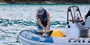 Whitsundays shark response on table as fisherman warns they're larger