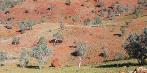 The lands of the Yindjibarndi covers 13,000 square kilometres of WA’s iron ore-rich Pilbara.