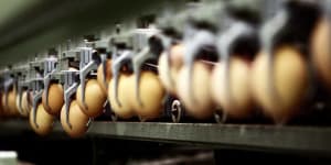 Eggs were in oversupply after the latest lockdown and farmers reduced their capacity. 