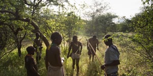 Hadza hunters with bows and arrows tracking game. 