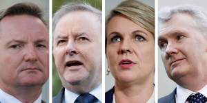 Chris Bowen,Anthony Albanese,Tanya Plibersek are likely Labor leadership contenders,while Tony Burke is said to be considering running.