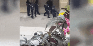 GIF:Police raid the home of Annalouise Spence.