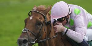 A race in two:These are the horses our tipsters think can win the Cup