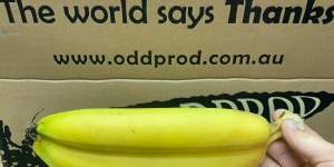 An example of the imperfect produce in produce boxes from Oddprod.