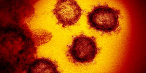 Coronavirus has been changing genetically into new forms as a result of mutations.