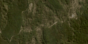 Satellite images show the destruction in Wombat State Forest from the air.