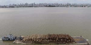 A barge transports logs cut from the Amazon rainforest in Guama river in Belem,northern state of Para,Brazil,last weekend.