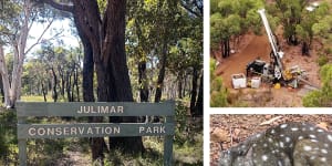 Julimar State Forest mining conservation Western Australia. Picture:Supplied