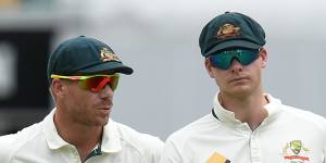 David Warner and Steve Smith have received 12-month bans from international and state cricket.