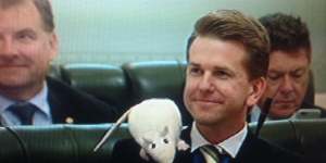 Jarrod Bleijie sports a rat in Queensland Parliament question time.
