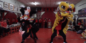 A look behind the scenes:What does it take to become a lion dancer?