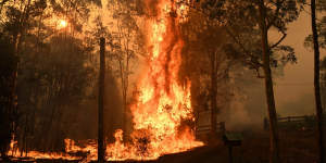 The Green Wattle fire in Orangeville,NSW on December 6.